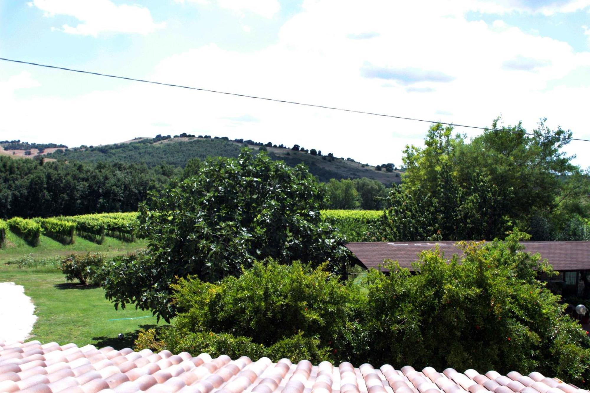 Agriturismo La Vecchia Quercia Montemerano Luaran gambar
