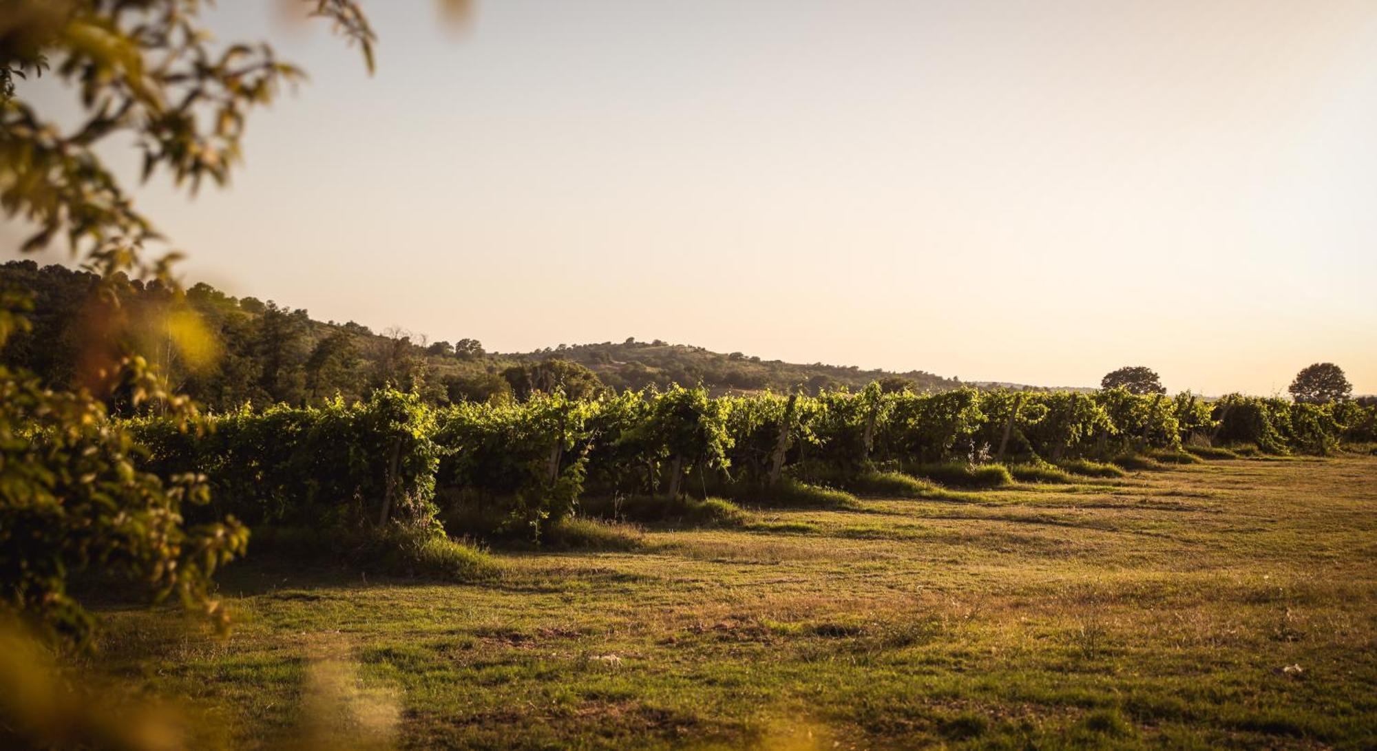 Agriturismo La Vecchia Quercia Montemerano Luaran gambar