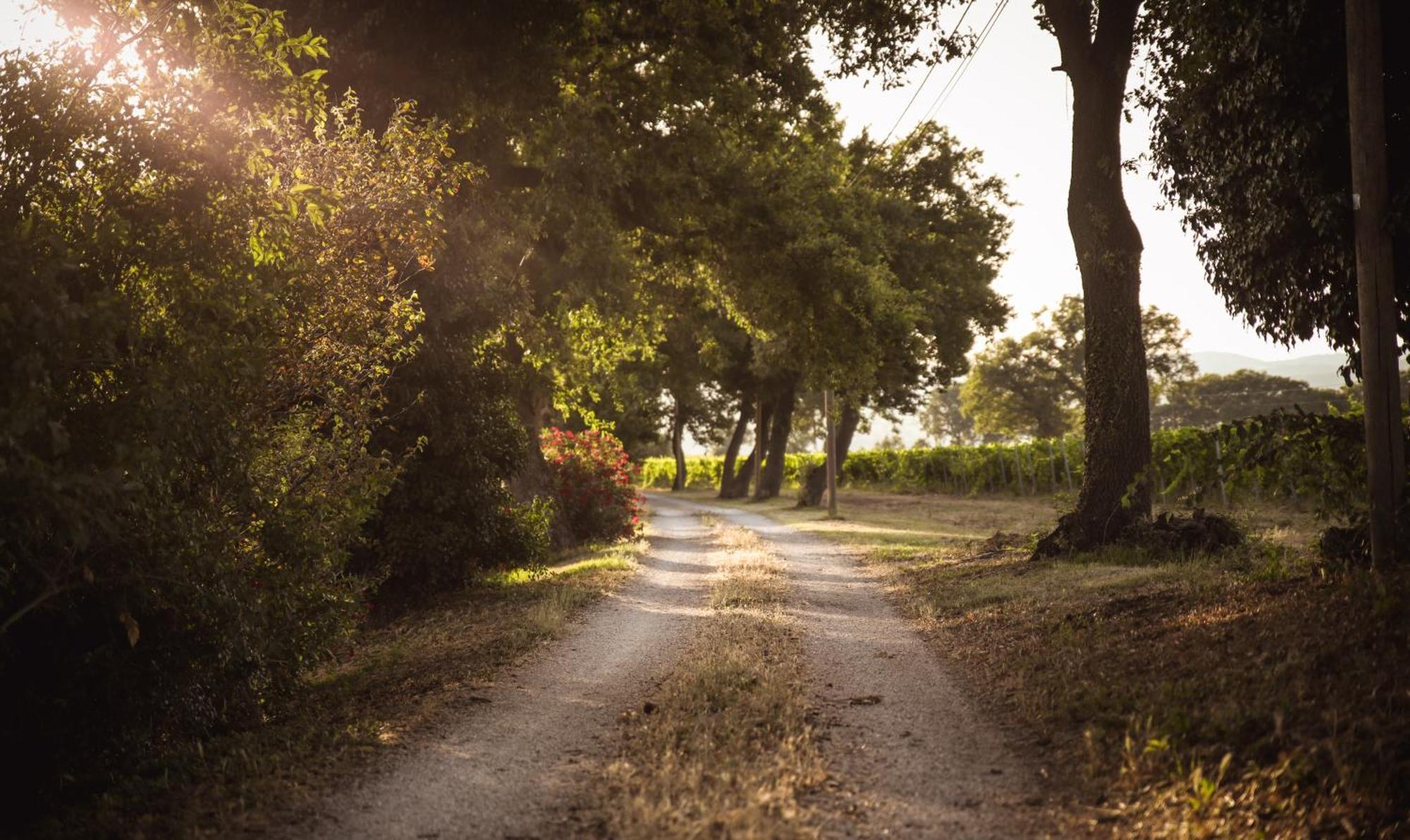 Agriturismo La Vecchia Quercia Montemerano Luaran gambar