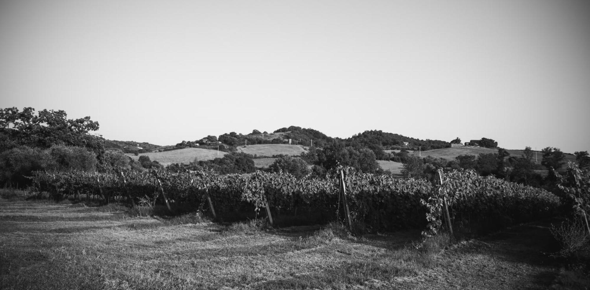 Agriturismo La Vecchia Quercia Montemerano Luaran gambar